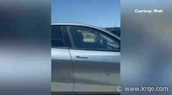 Tesla driver seen napping behind wheel on California highway