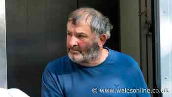 Murder accused repeatedly researched paranoia before wife was found dead, court hears