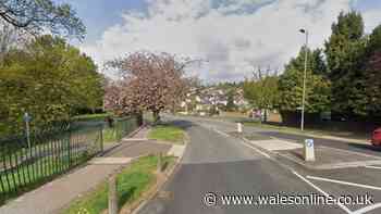 Arrest made after man 'chased down street with a weapon' in Newport