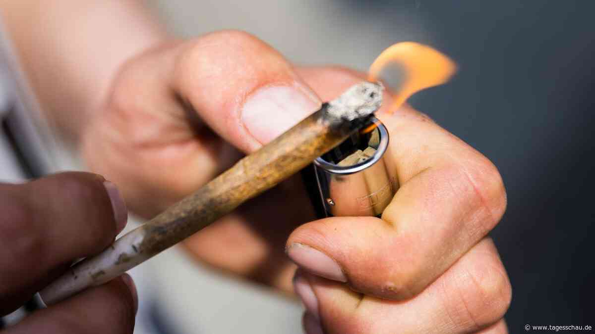 EU-Drogenbericht: Cannabis bleibt am häufigsten konsumierte Droge
