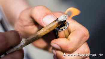 EU-Drogenbericht: Cannabis bleibt am häufigsten konsumierte Droge