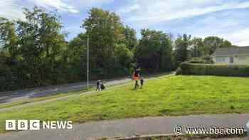 Green open space saved from development