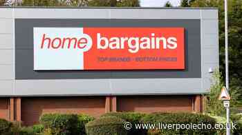 'Hair looks silky and shiny' with £45 Home Bargains set reduced to £8