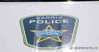 Search for ‘aggressive’ dog that attacked child in Barrie continues