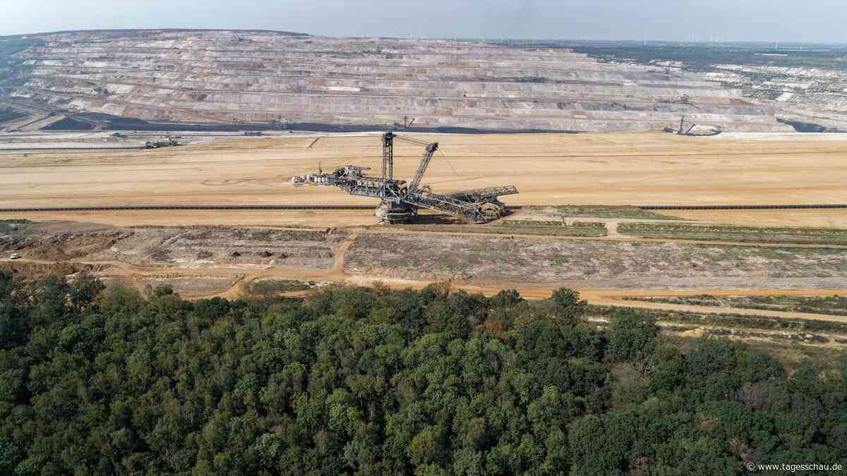 Hambacher Forst wird unter Naturschutz gestellt