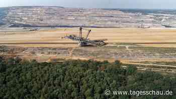 Hambacher Forst wird unter Naturschutz gestellt
