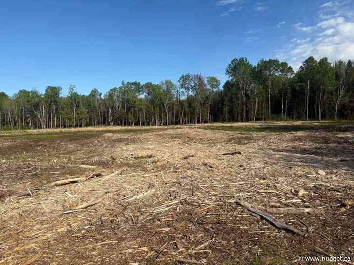 North Bay council approves $6 million cricket pitch and soccer field