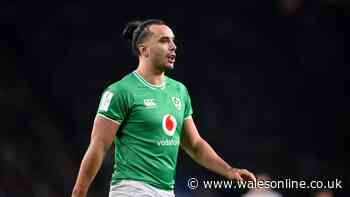 Upset Lions star walks out on Ireland before World Cup as he breaks silence
