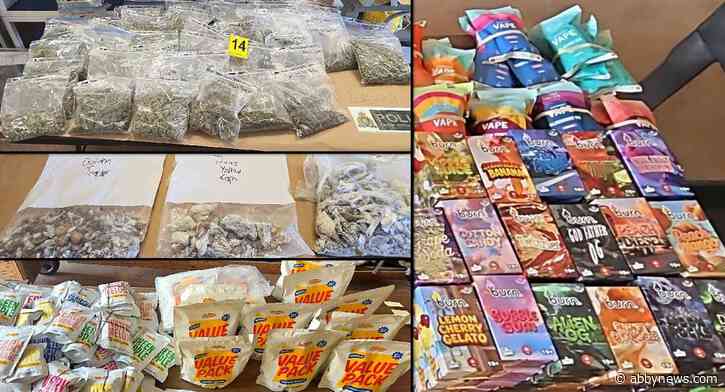 Mission RCMP bust Abbotsford drug website allegedly selling to teens