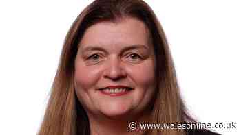 Plaid wants to give some parents a £10 a week for every young child