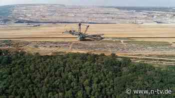 Einigung über dauerhaften Schutz: Hambacher Wald wird zum Wildnisgebiet