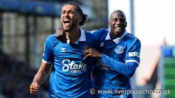 Did Everton miss any of the players who left the club last summer?