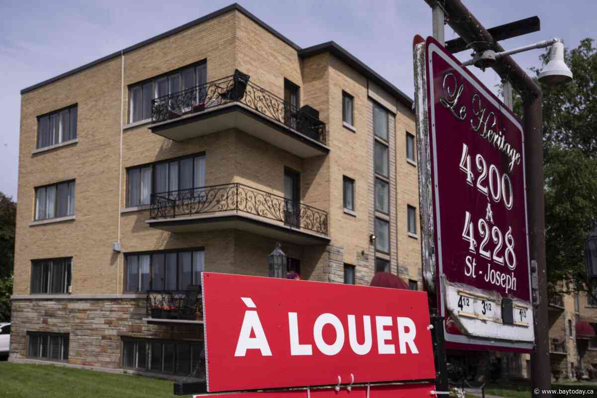 Rents fall as new completions surge and demand slows, but rebound expected: CMHC