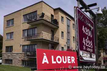 Rents fall as new completions surge and demand slows, but rebound expected: CMHC