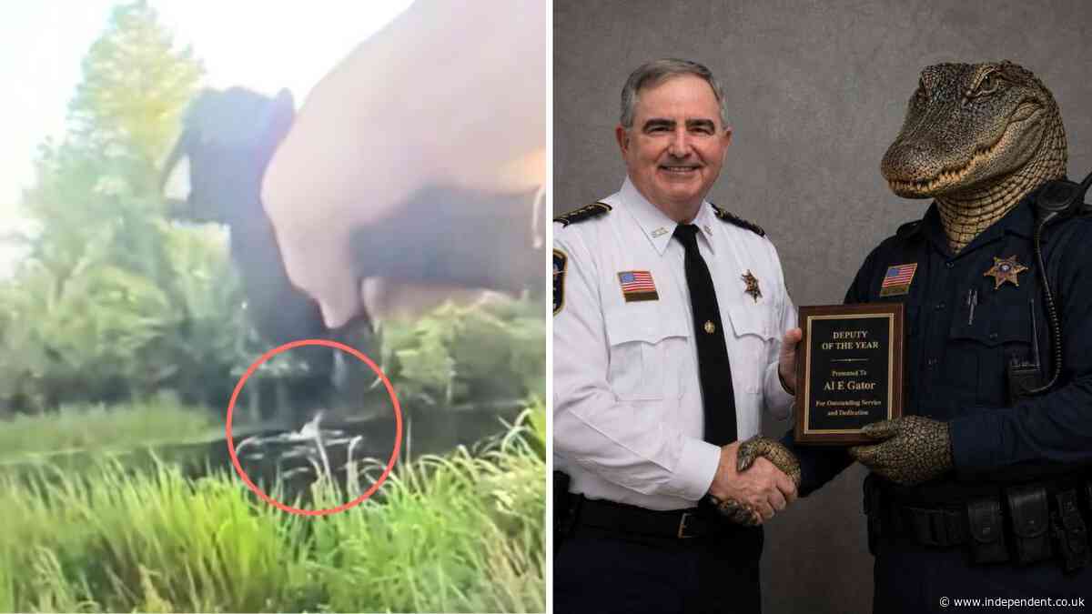 Bodycam footage shows man fleeing DWI arrest being attacked by alligator after jumping in swamp, police say