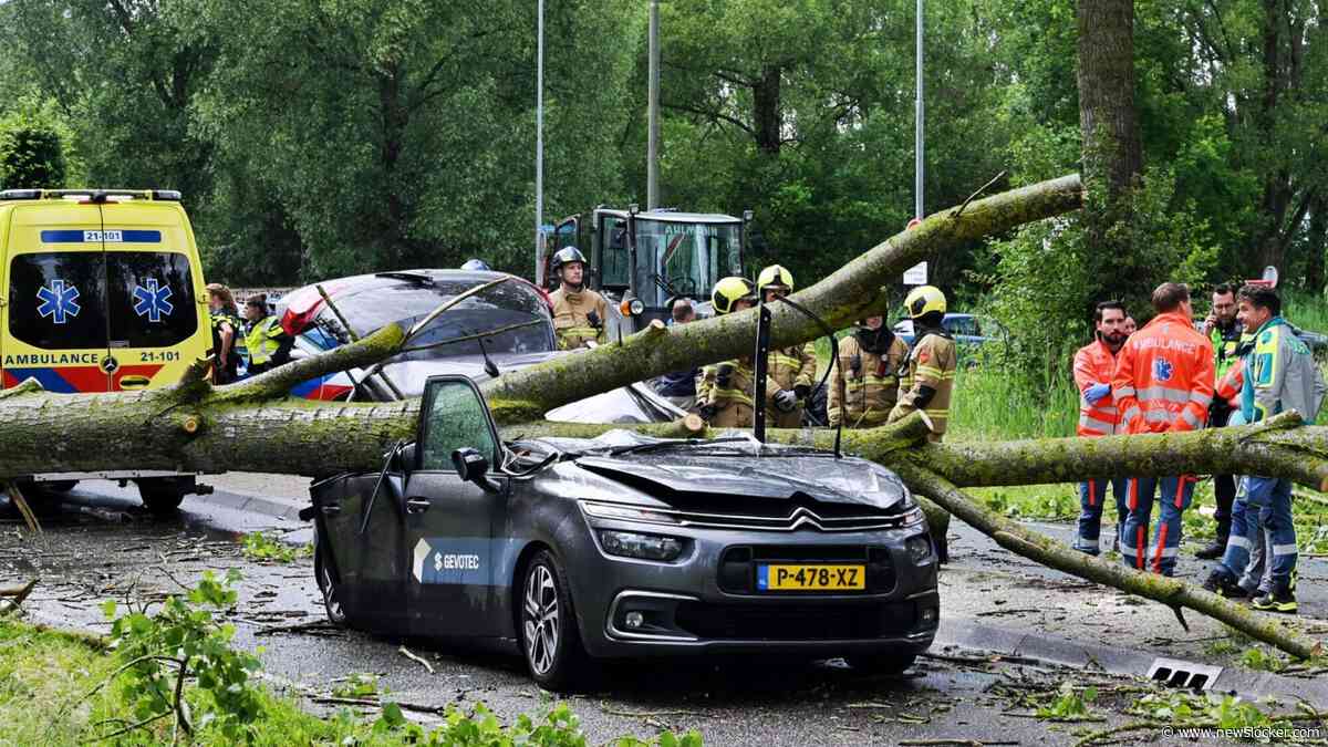 Bestuurder komt om doordat boom op bestelbus valt in Boxtel