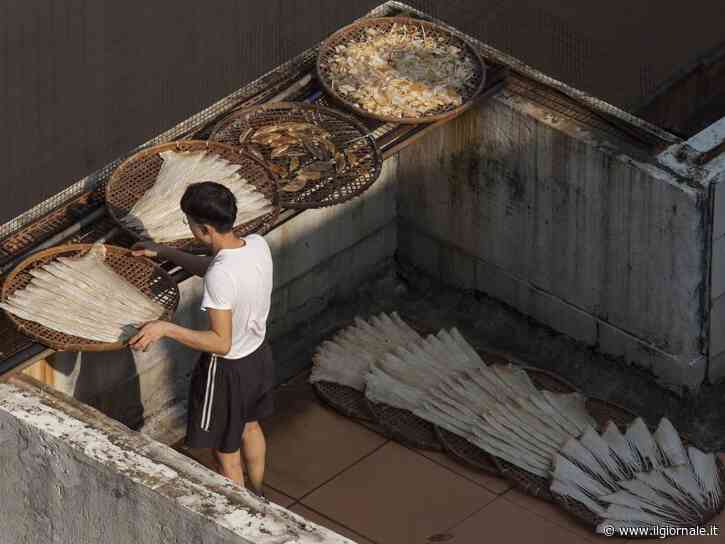 "Allarme Ghost Kitchens": cos'è lo scandalo che scuote la Cina