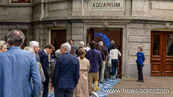 Aquarium van 50 miljoen in Artis ziet er weer uit als in 1882: ’Bij Decathlon zijn de duikbrillen al uitverkocht’