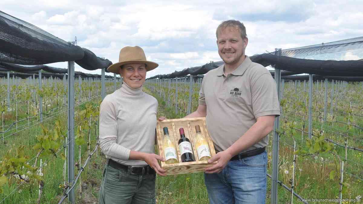Gifhorns Weinpioniere präsentieren stolz ersten Wein vom Emmer Klosterfeld