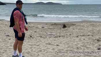 Popular Wales international starts very different new life as rugby career over
