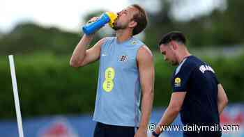 Carbohydrate pouches, al fresco dining and theme nights: Inside the FA's bid to help England 'gain a tactical fuel advantage over opponents' at the World Cup