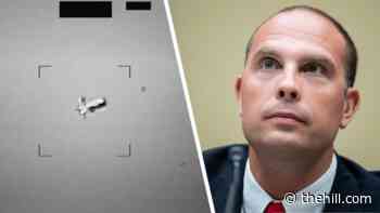 Government aware of 'several' kinds of aliens: UFO whistleblower
