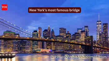 This bridge in New York once hosted 21 elephants; 5 interesting things to know