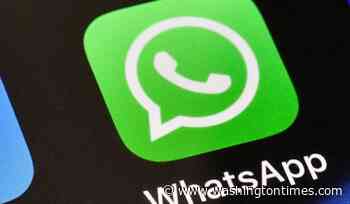 5 questions about the EU's order to Meta over WhatsApp AI access
