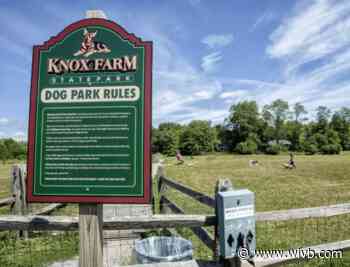 WNY dog adventures: best parks, trails and pet events