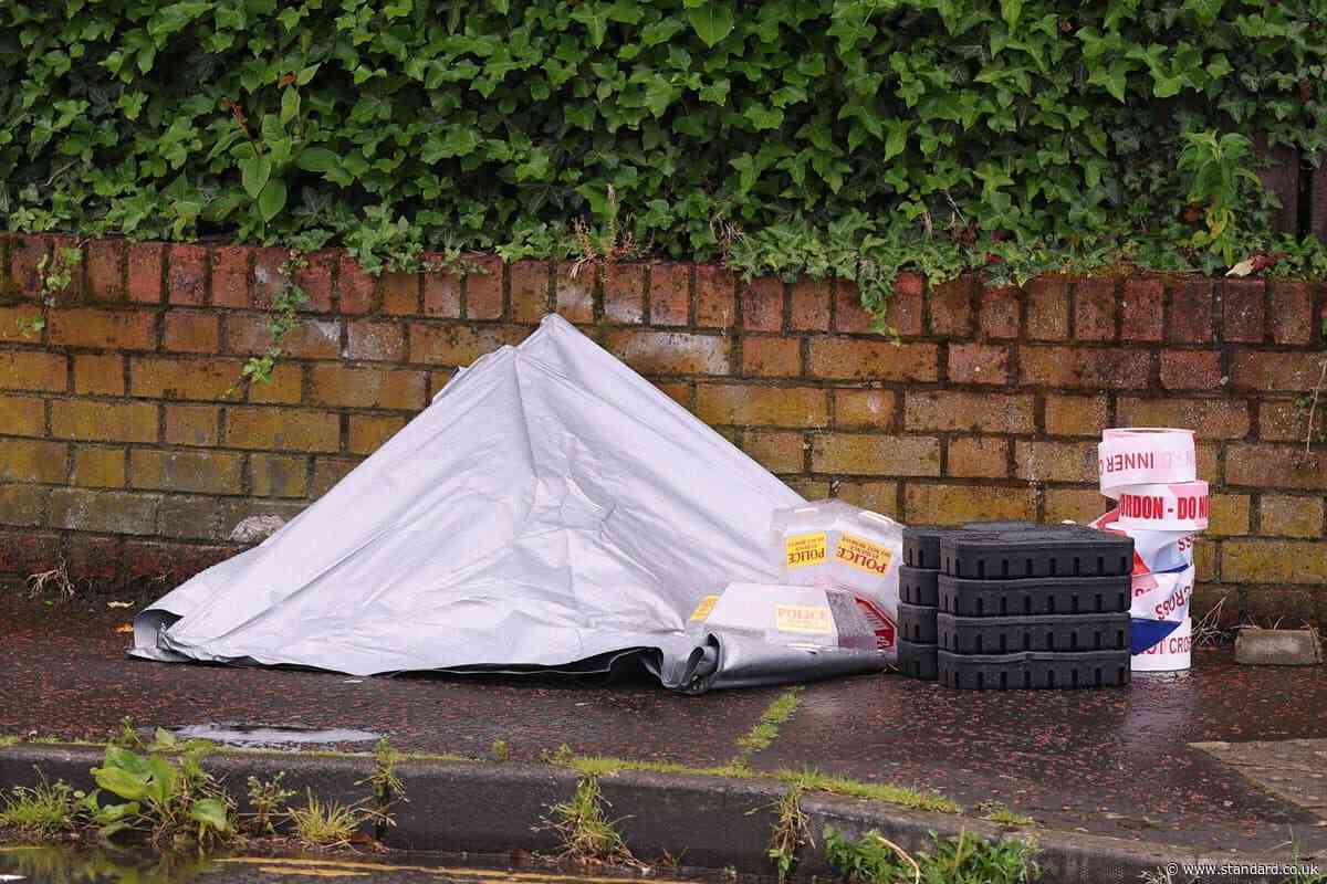 What do we know about the Belfast knife attack?