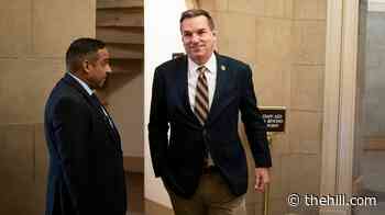 House GOP campaign chair: 'I think we'll pick up seats' in November 