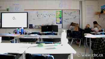 What changes will TDSB students see in the fall?