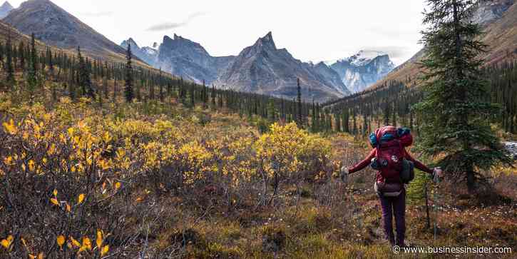 I've been to all 63 US national parks. These 4 are my favorites — but these 3 didn't impress me much.