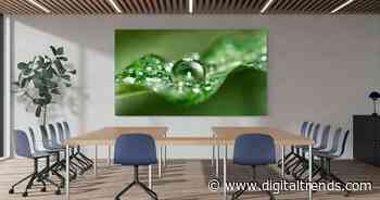 Sony’s new 135-inch display is basically boardroom excess in its finest form