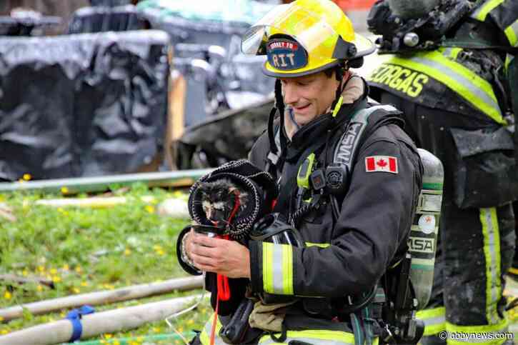Surrey firefighters rescue cat from house fire