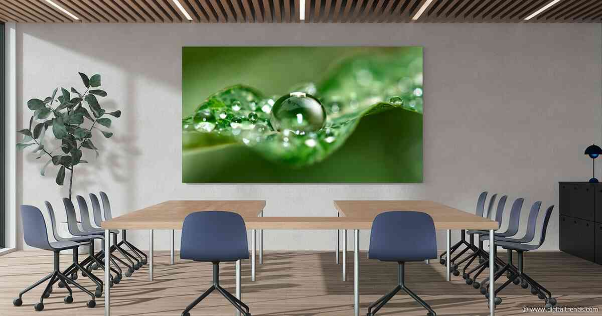 Sony’s new 135-inch display is basically boardroom excess in its finest form