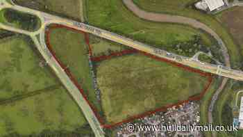 Plans for Dunswell roundabout park and ride re-emerge