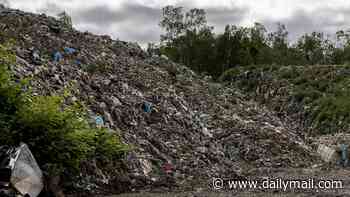 Reform UK vows to make Britain beautiful again with major crackdown on fly-tipping and littering - including tougher fines and National Action Day where MPs will lead local clean-ups