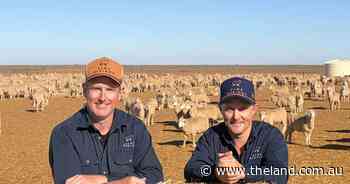 Locking up the flock: Western NSW graziers rewrite the drought playbook
