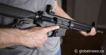 Ottawa extends amnesty for banned firearms amid Supreme Court challenge