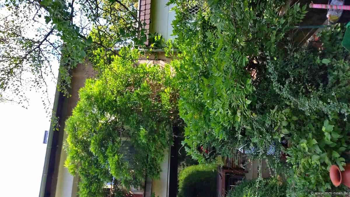 Ludwigshafen – Klima von Unten – Stadtführung mit Helmut van der Buchholz am 17. Juni