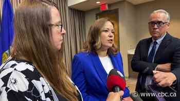 NDP raises concerns over UCP appointments to electoral boundaries advisory panel