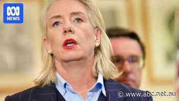 Live: Bridget McKenzie leaves door open to Liberal, National, One Nation coalition