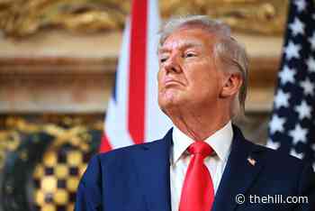 White House says UK should not ban social media for kids under 16