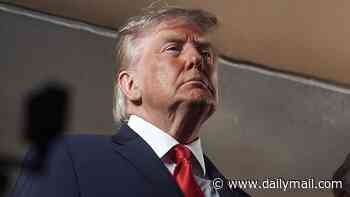 Trump ERUPTS behind closed doors as top Republican pleads with him to axe Tulsi Gabbard's spy-chief replacement