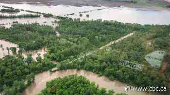 Livestock farmer worries cattle swept away in western Manitoba floods