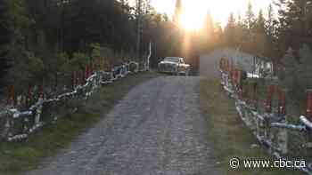 Stoney Nakoda woman who killed her mother's abusive boyfriend pleads guilty to manslaughter