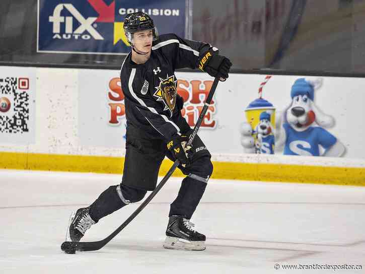 Brantford Bulldogs trade Vladimir Dravecky to Guelph Storm