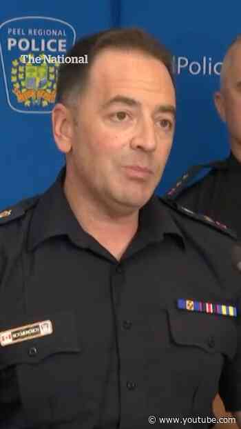 Ex-Air Canada pilot flew for years without proper licence, police allege