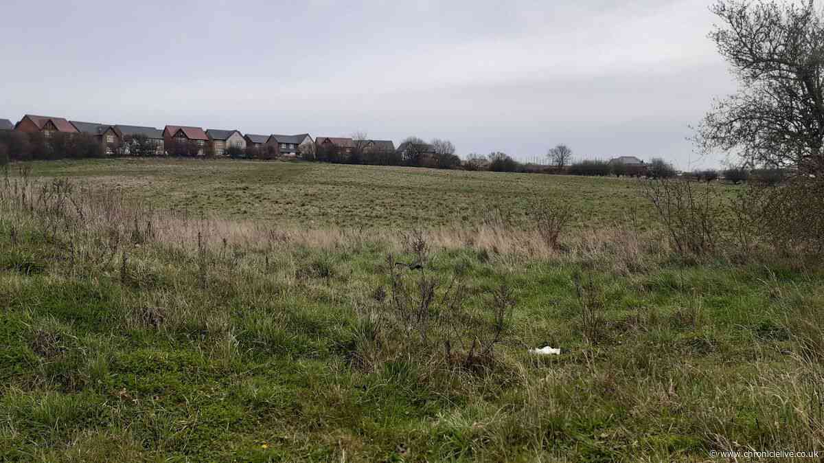 Historic North East sports club D-Day over stalled homes plan to 'clear debts and enhance facilities'